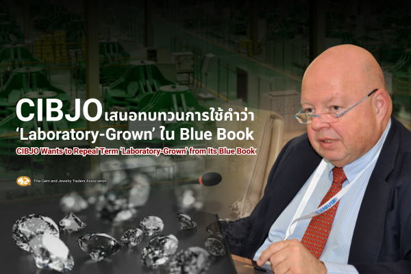 Supplied CIBJO terminology presentation image from the Thai Gem and Jewelry Traders Association