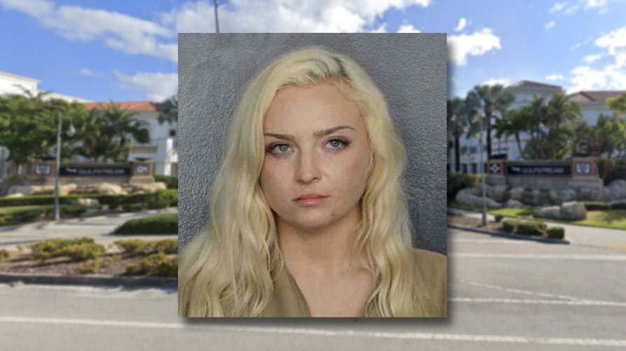 Broward Sheriff’s Office booking photograph of Lynda Mae Crouse published by Local 10